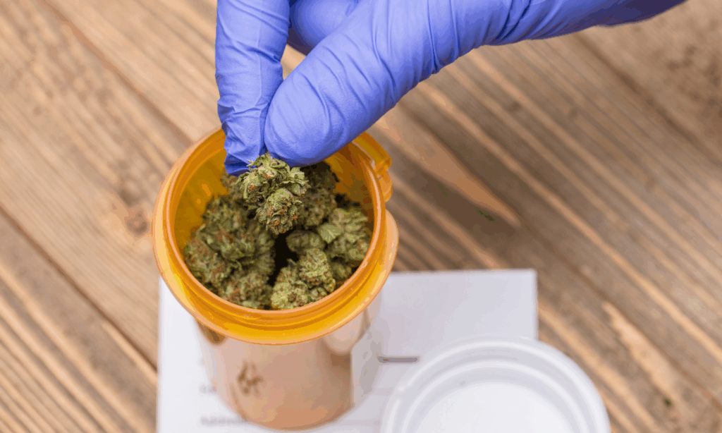 Recepta na medyczną marihuanę 2025 – krok po kroku