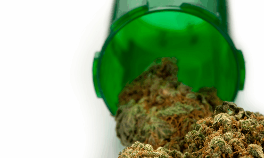 jak dobrać susz do potrzeb terapeutycznych