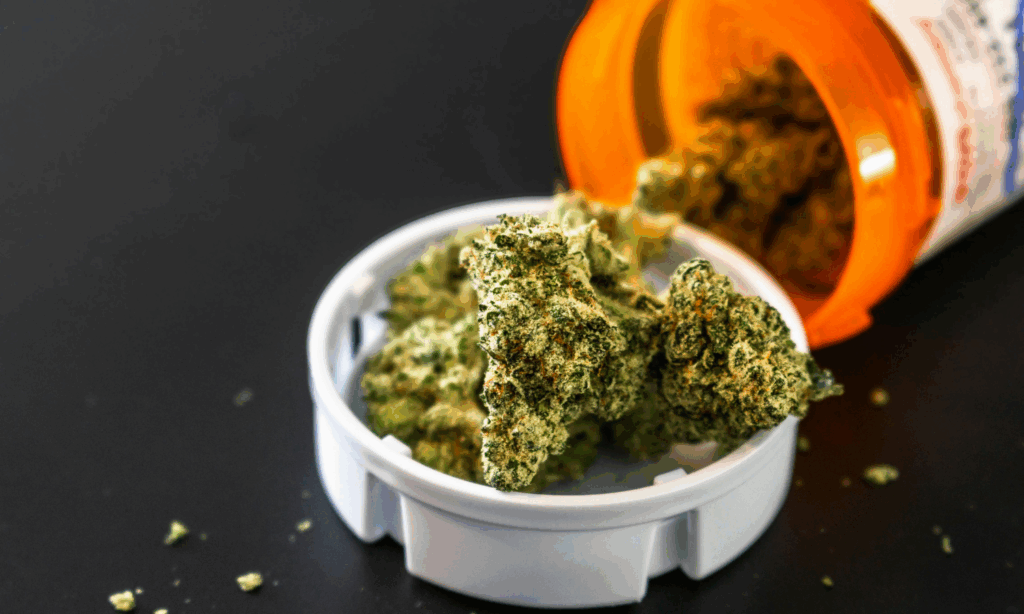 Jak THC i CBD wpływają na ośrodkowe mechanizmy łaknienia