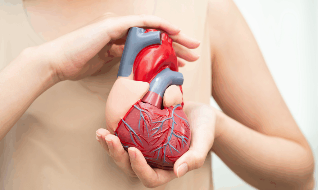 Medyczna marihuana a nadciśnienie i układ sercowo-naczyniowy