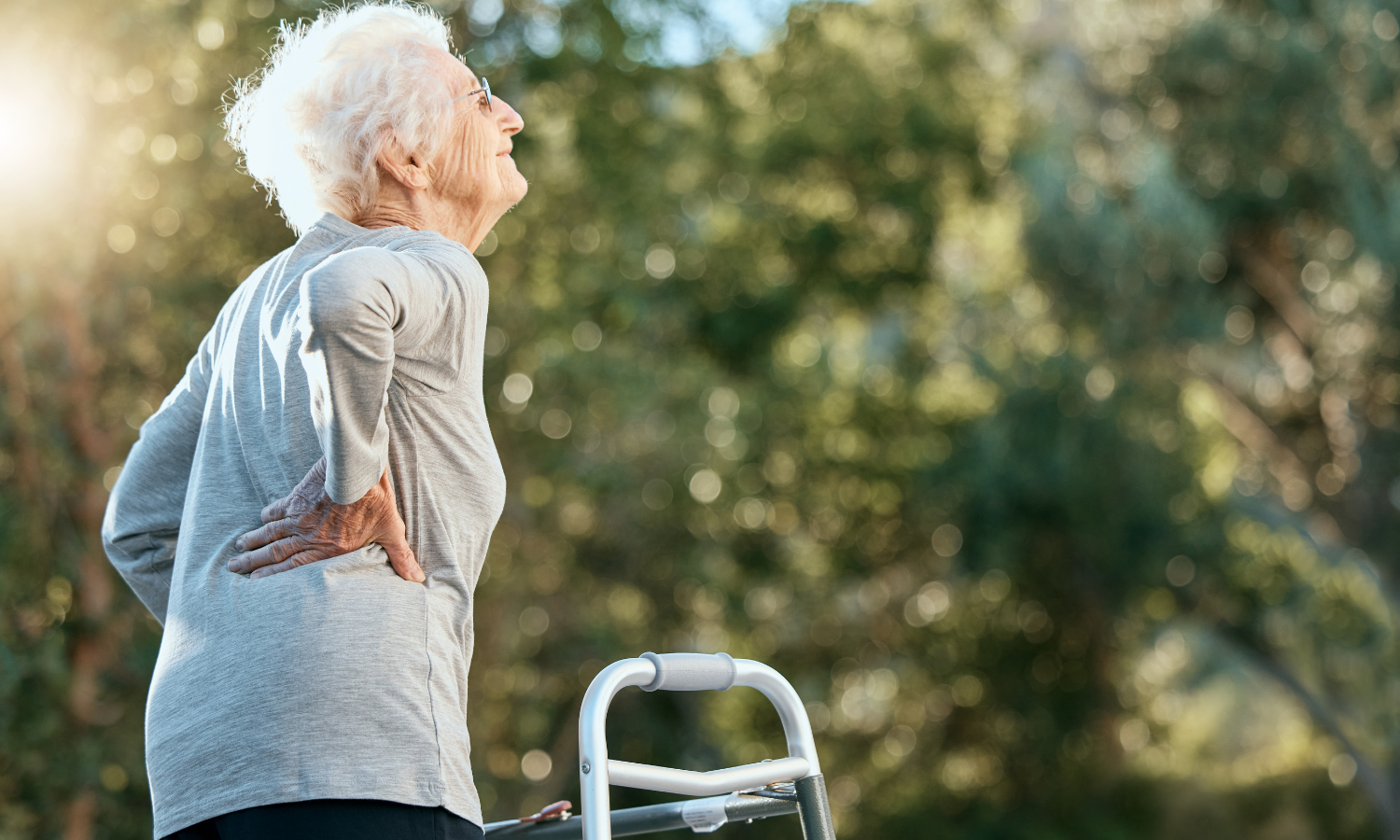 Osteoporoza u osób starszych – czy fitokannabinoidy mogą pomóc w łagodzeniu bólu i ograniczeniu stosowania silnych leków przeciwbólowych?