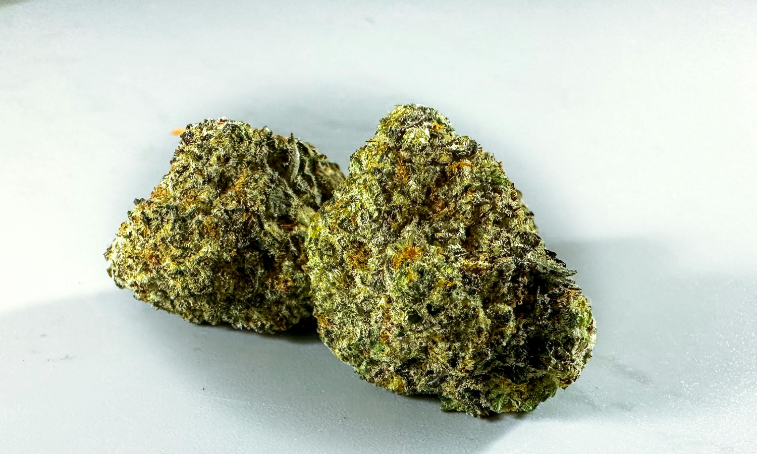 medyczna marihuana a alkohol, medyczna marihuana alkohol