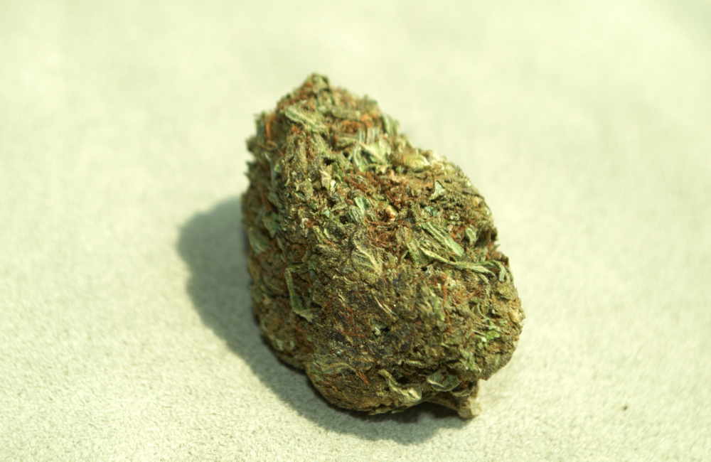 THC czy CBD – który kannabinoid wybrać w terapii konopnej?