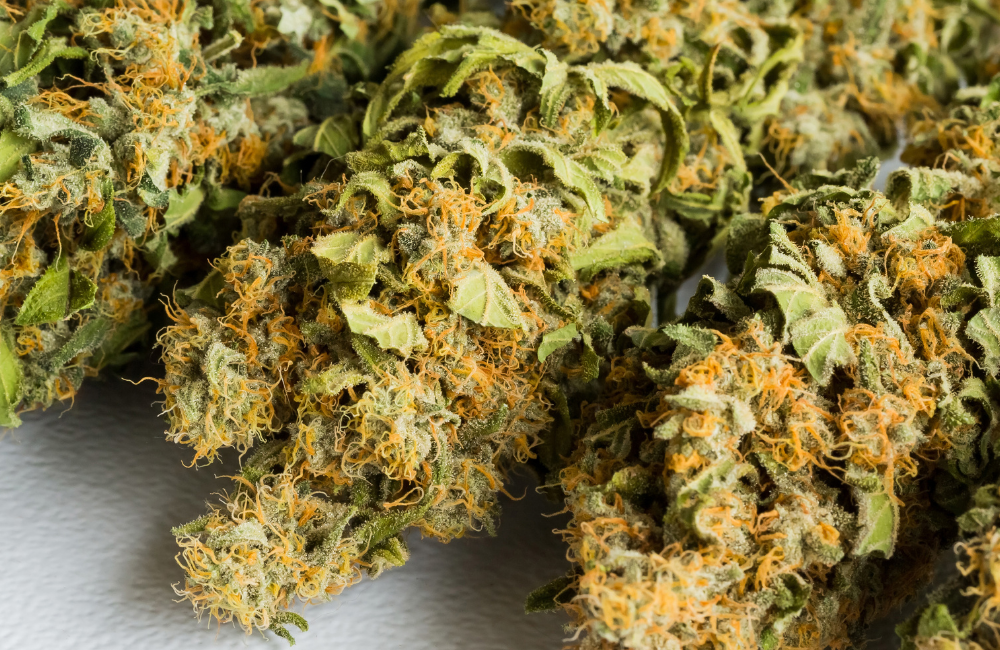 Mikrodawkowanie THC – na czym polega i kiedy warto je rozważyć?