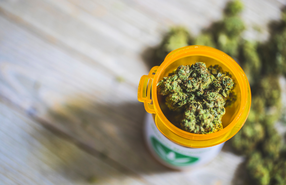 Jak prowadzić dzienniczek terapii konopnej, żeby realnie pomagał lekarzowi dobrać dawkę?