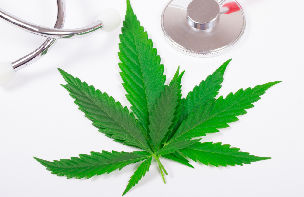 Farmakokinetyka THC i CBD: dlaczego ten sam preparat działa inaczej u różnych pacjentów